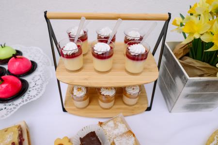 otvoritev grad Podsreda, 26.3.2025_Izidor Kotnik (124)